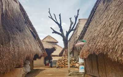 Suku Sasak, Sisa-Sisa Kebudayaan Veda di Lombok